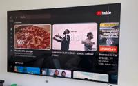 LG QNED 65 Zoll (164 cm) Fernseher mit Displayschaden Hamburg-Mitte - Hamburg Billstedt   Vorschau