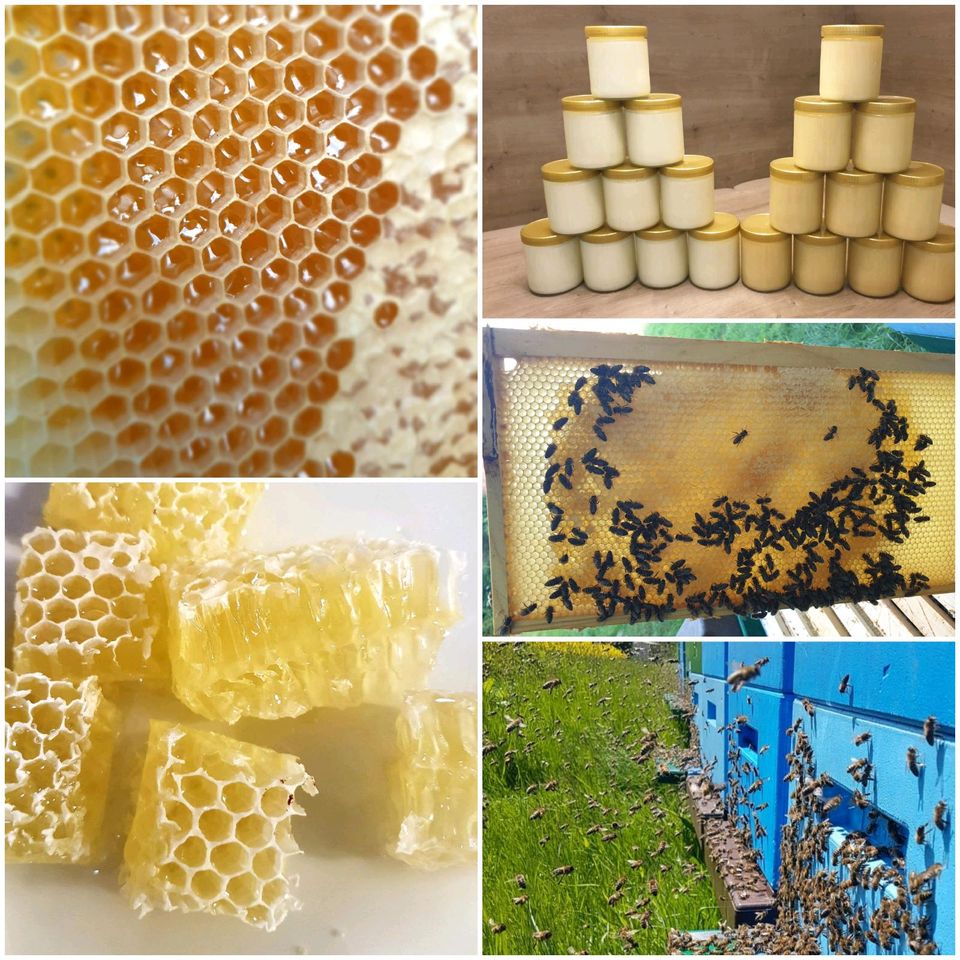 Honig aus eigener Imkerei zu verkaufen.  Bienenhonig Rapshonig Li in Lemgo