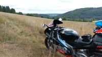 SUCHE Aprilia RS 125 MP - Bastlerobjekte Rheinland-Pfalz - Bitburg Vorschau