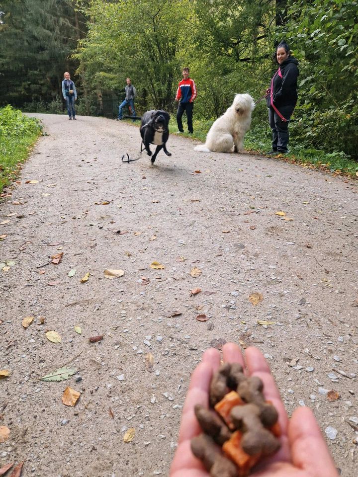 Social Walk in Delligsen