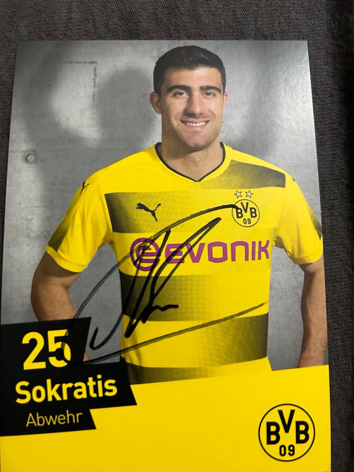 Verschiedene BVB Autogrammkarten mit originaler Unterschrift. in Essen