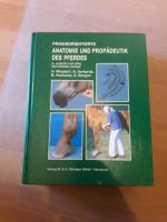Praxisorientierte Anatomie und Propädeutik des Pferdes Brandenburg - Blankenfelde-Mahlow Vorschau