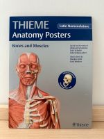 THIEME Medizin Anatomie Poster (Knochen & Muskeln) Thüringen - Erfurt Vorschau