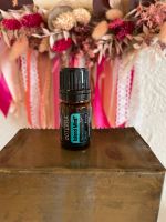 doTERRA Island Mint 5ml NEU ätherische Öle Aromatherapie Baden-Württemberg - Sinsheim Vorschau