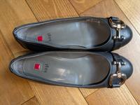 Högl Ballerinas Saarland - Friedrichsthal Vorschau