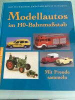 Modellautos im H0- Bahnmaßstab Baden-Württemberg - Heilbronn Vorschau