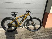 CUBE Reaction TM (2023) Gr. M / 29 Zoll / Fahrrad MTB Baden-Württemberg - Ertingen Vorschau