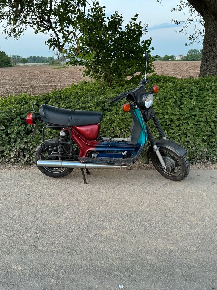 Simson SR 50 in Rheinmünster