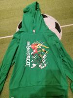Pollover Ninjago Bayern - Lauf a.d. Pegnitz Vorschau