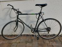 Rennrad Aluminium rh 59 gut als Singlespeed Brandenburg - Groß Köris Vorschau