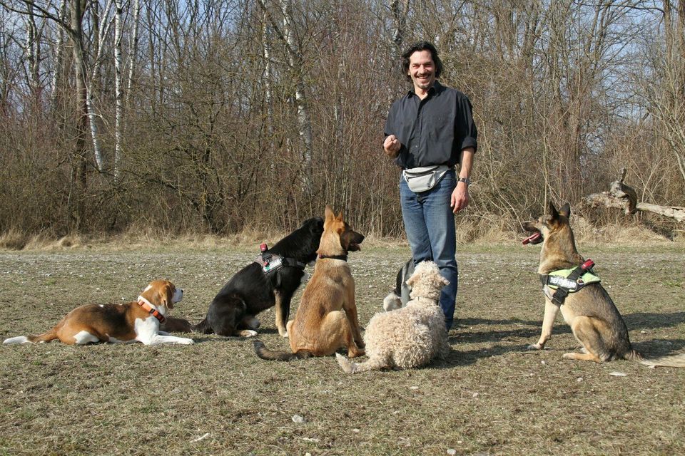 Der Hundeführerschein (BLTK) start 16.05.2024 18:30 Uhr in Augsburg
