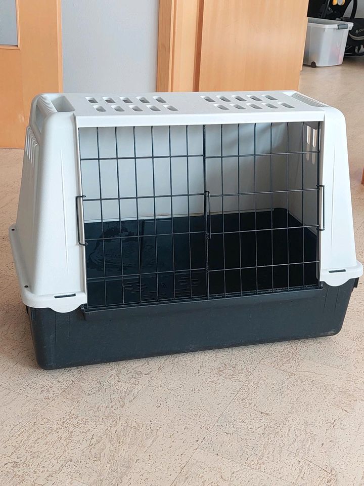 Hunde - Katzen Transportbox in Winterlingen