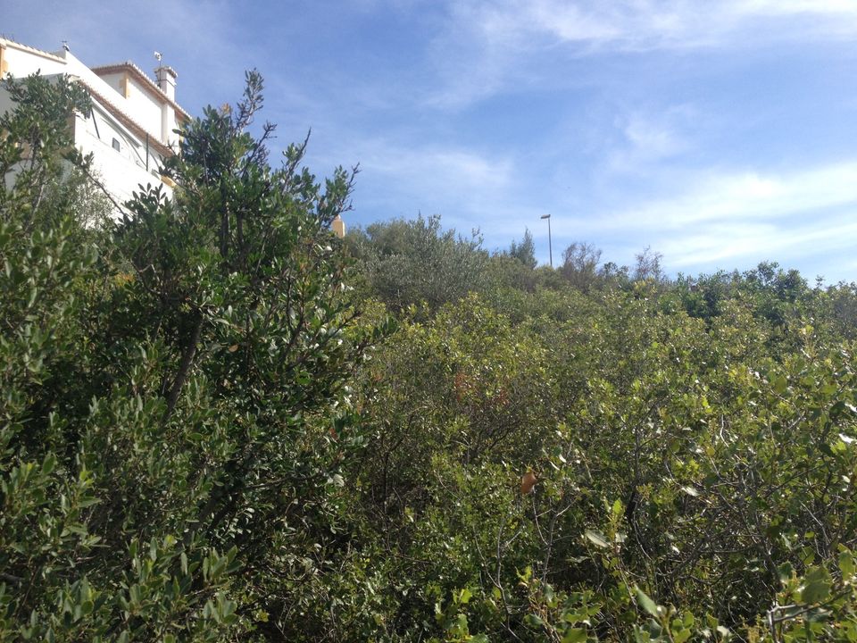 Baugrundstück in Oliva (Costa Blanca) mit Panoramablick in Jembke