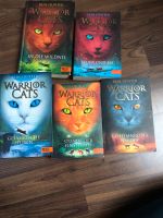 Warrior Cats Staffel 1 Niedersachsen - Faßberg Vorschau