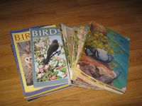 Birds Zeitschrift/ RSPB/ Ornithologie/ Vogelschutz/ Vögel Baden-Württemberg - Biberach an der Riß Vorschau