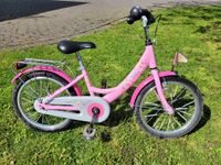 Puky 18 Zoll Kinder Fahrrad Rosa Prizessin Lillifee Nordrhein-Westfalen - Telgte Vorschau