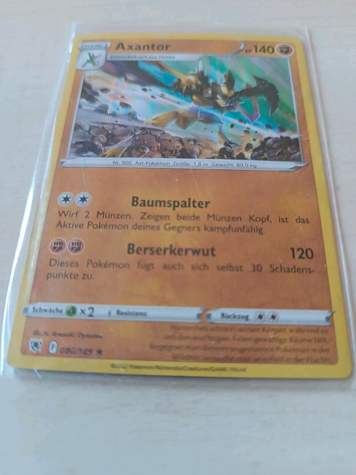 Pokémon Karten in Schutzfolien in Hohnstein