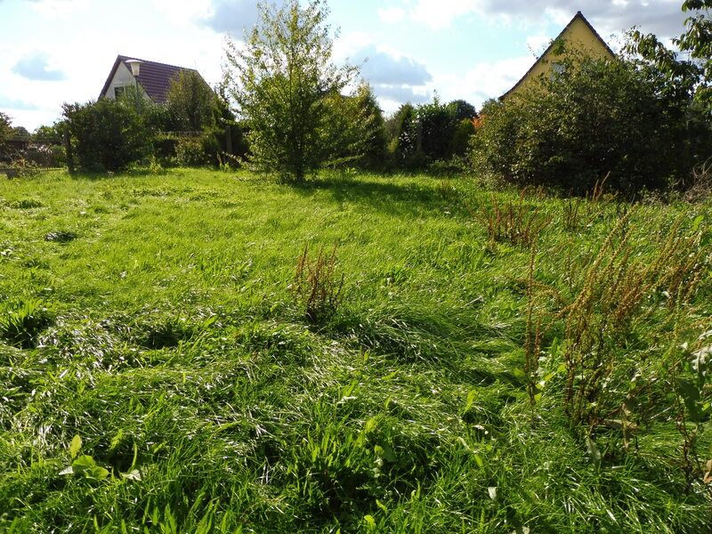 Familienhaus mit großem Grundstück in Naturrandlage in Grammendorf