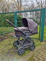 Kinderwagen ABC Design Tereno 4 Münster (Westfalen) - Centrum Vorschau