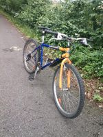 MTB/Canti/City/Fahrrad/26" Hemelingen - Sebaldsbrück Vorschau