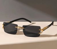 Cartier Sonnenbrille in verschiedenen Farben Bayern - Alzenau Vorschau
