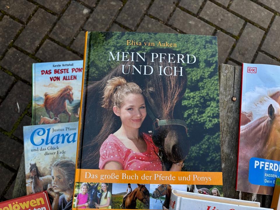 13 x Pferdebücher Paket Pferde Mädchen Reiten Geschichten in Großhartmannsdorf