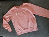 Champion Pullover Sweatshirt in rosa Gr. S small 158 164 Baden-Württemberg - Gemmingen Vorschau