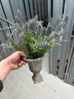Deko Lavendel Blumen mit Topf Süd - Niederrad Vorschau
