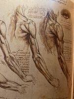 LEONARDO DA VINCI ANATOMISCHE ZEICHNUNGEN Hessen - Kassel Vorschau