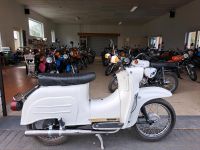 Simson Schwalbe KR51/2 Artikel Nr.: B441 Standort Fehrbellin Brandenburg - Fehrbellin Vorschau