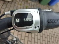 Damen City-Bike / Holland-Rad Rheinland-Pfalz - Bad Dürkheim Vorschau