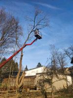 Baumfällung, Wurzel entfernen, Baggerarbeiten, Sturmschaden Nordrhein-Westfalen - Meschede Vorschau