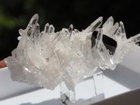 Mineralien : Hübnerit auf Quarz von Pasto Bueno , Peru Hessen - Biebertal Vorschau