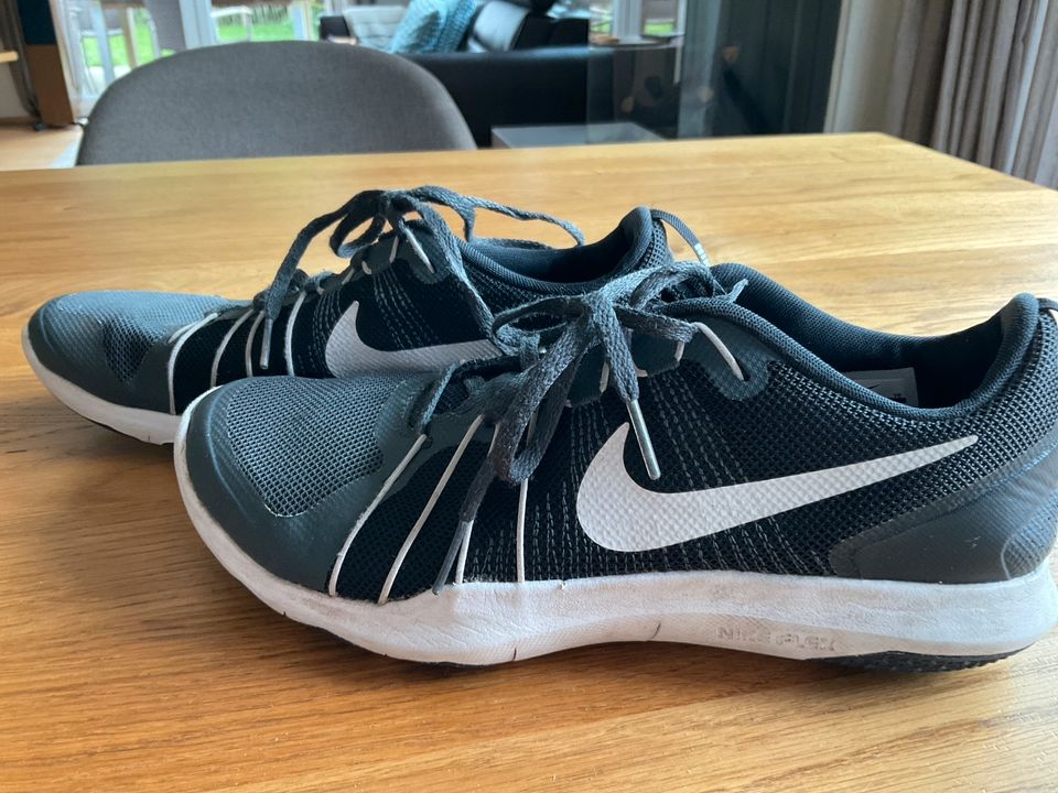 Hallenturnschuhe von Nike Gr. 41 EUR bzw. US 8 in Oldenburg