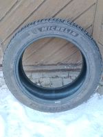 Michelin Pilot Alpin 5 255 45 18 103 V Winterreifen für VW T5 T6 Thüringen - Weimar Vorschau