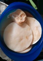 Kombucha Scoby Essig Teepilz Bayern - Günzburg Vorschau