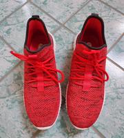 Schuhe Gr 43 Neu Brandenburg - Neuenhagen Vorschau