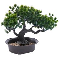 Künstlicher Bonsai Baum Pflanze Zimmerpflanze im Topf neu Bayern - Neustadt a. d. Waldnaab Vorschau