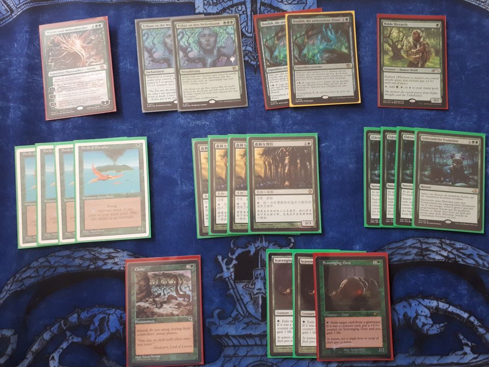 MTG Modern Sammlung - Fetches, Shocks, Fastlands, ... in Düsseldorf