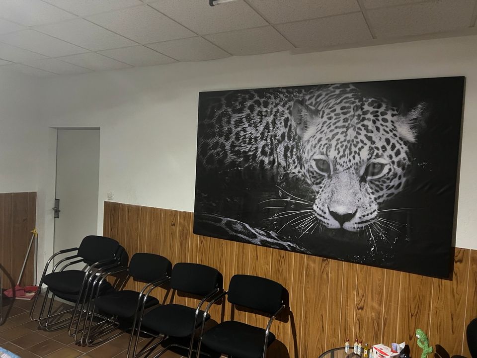 Riesiges Bild, 2,50 m mal 1,50 m circa, Panther Tiger, Leopard in Offenburg