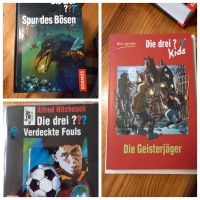 Die 3 Fragezeichen CD und 2 Bücher Güstrow - Landkreis - Laage Vorschau
