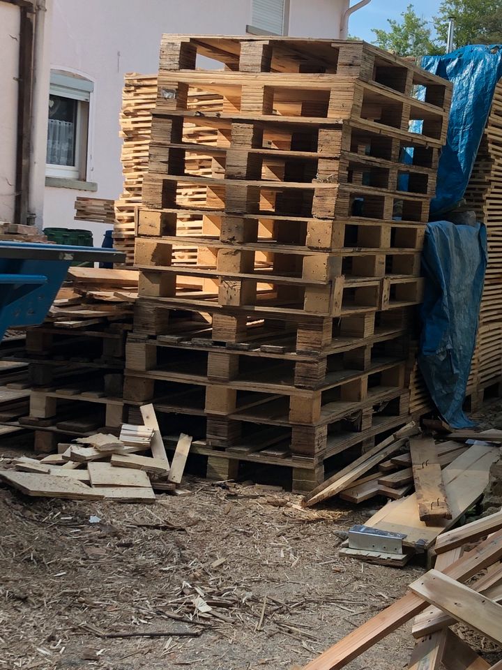 Paletten Brennholz 13 Stück in Rinteln