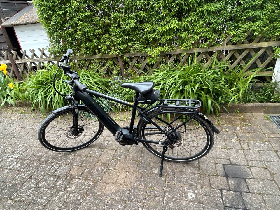 Herren E-Bike Pegasus Solero EVO 9 in Althengstett