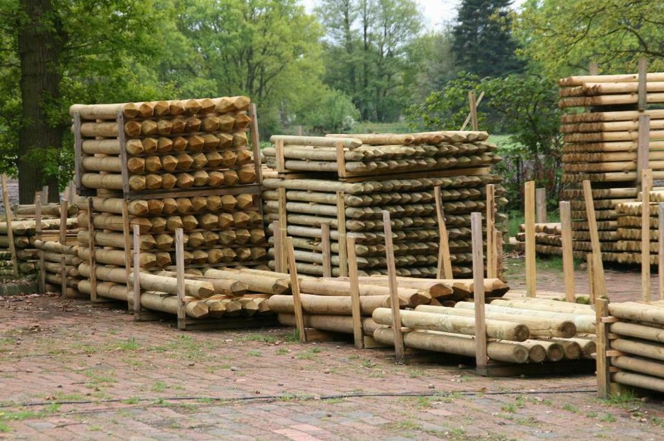 Palisaden - Rundhölzer - Stangen - Holz - 9 x 300 cm imprägniert in Wagenfeld