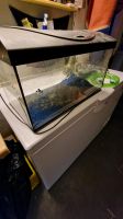 Aquarium 60 Liter Bremen - Huchting Vorschau