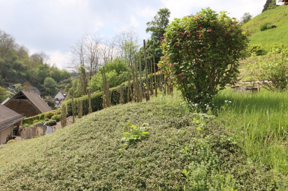 Baugrundstück unterhalb der Monrealer Löwenburg, Monreal in Monreal