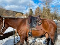 Signum Sattel Classic Vario Bayern - Großweil Vorschau