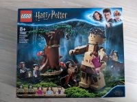 LEGO Harry Potter 75967 Forbidden Forest inkl OVP wie NEU Bayern - Zirndorf Vorschau