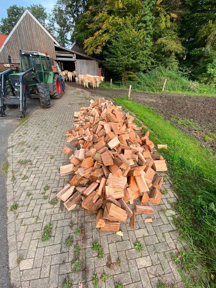 Kaminholz Eiche, Lärche trocken in Rheine