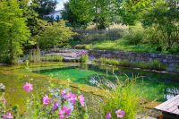 Garten gesucht Mecklenburg-Vorpommern - Bergen auf Rügen Vorschau